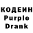 Amphetamine Premium Gulnaz Kovalenko