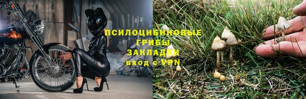 мет Нягань