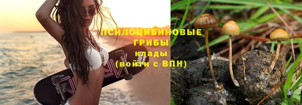 винт Осинники