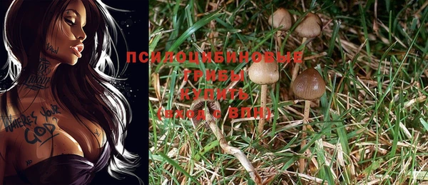 винт Осинники