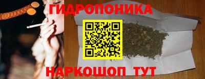 спайс Гусь-Хрустальный