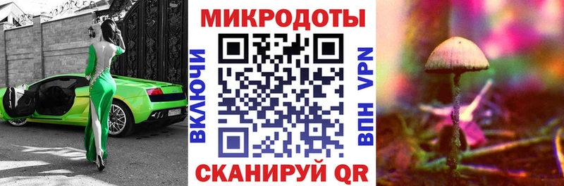 Псилоцибиновые грибы Cubensis  Тверь 