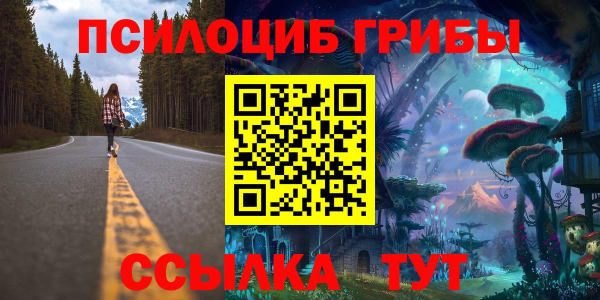 Псилоцибиновые грибы Psilocybine cubensis Тверь