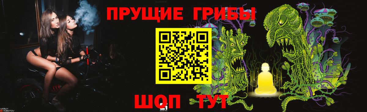 Галлюциногенные грибы прущие грибы  Вход с VPN  Тверь  Галлюциногенные грибы мухоморы 